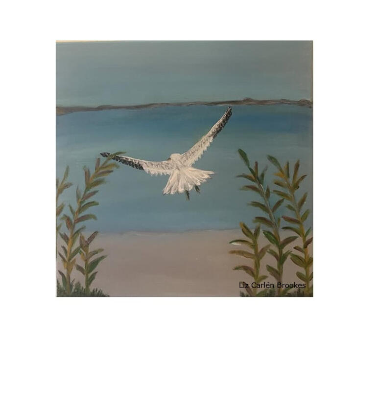 Title: Flying west